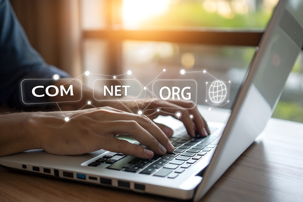 Domain registration and web hosting services